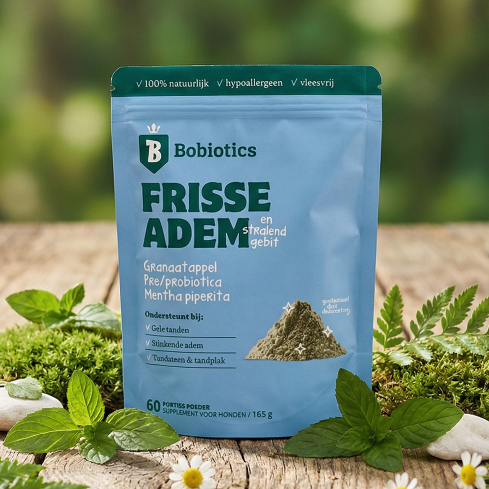 Frisse Adem & Gebit