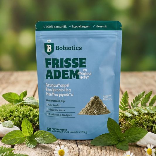 Frisse Adem & Gebit Tandpoeder