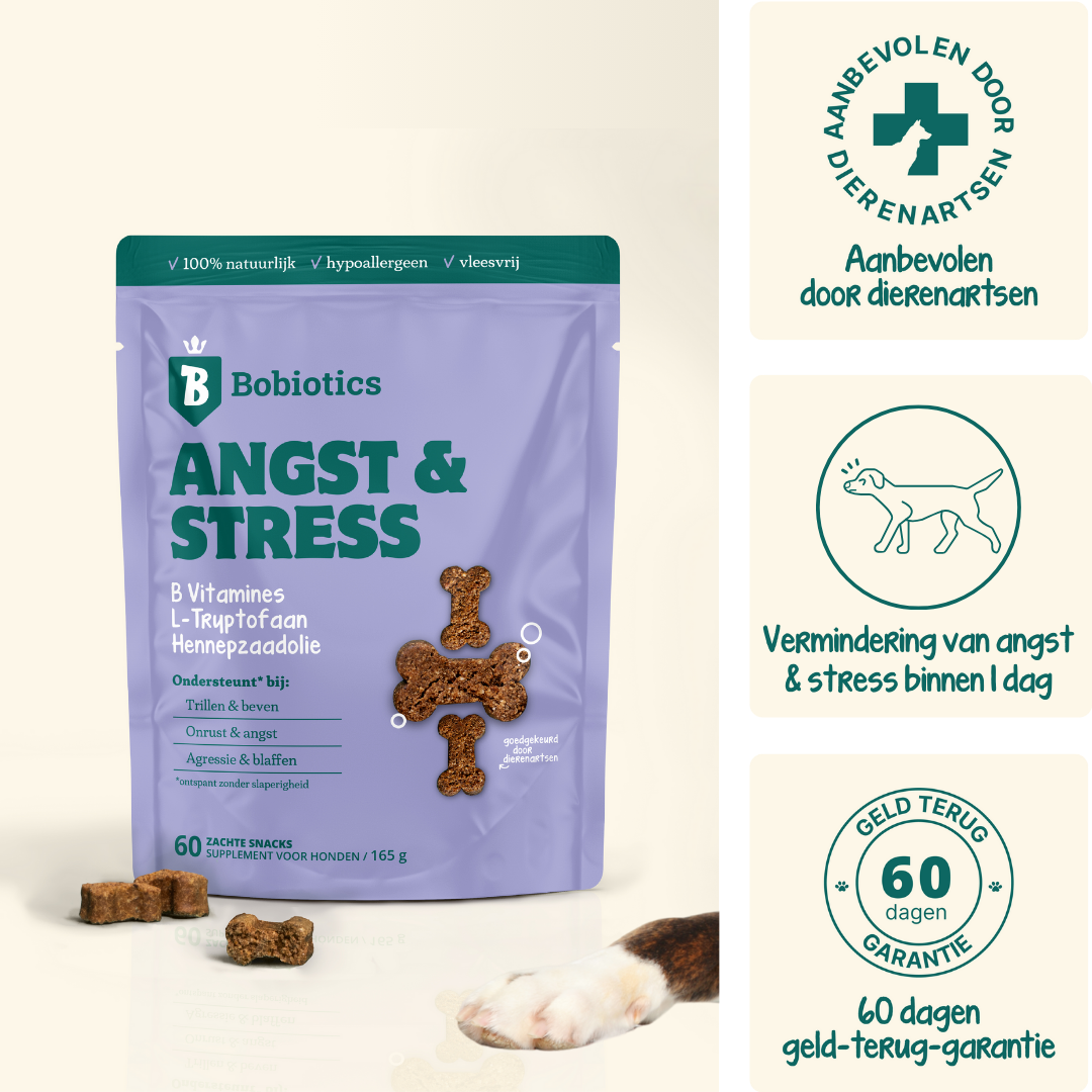 Anti-Stress & Angst