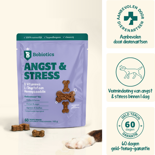 Anti-Stress & Angst