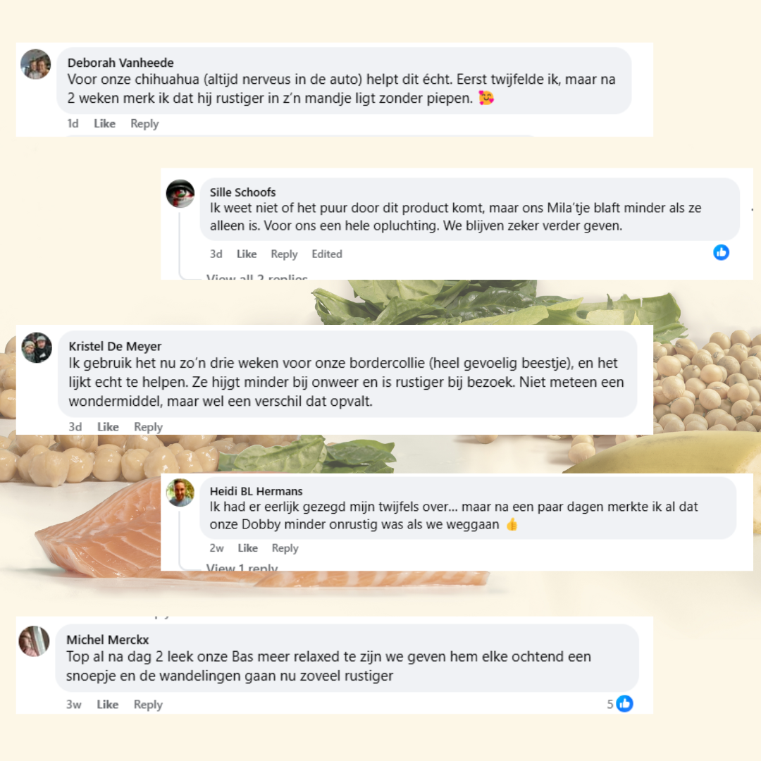 Anti-Stress & Angst