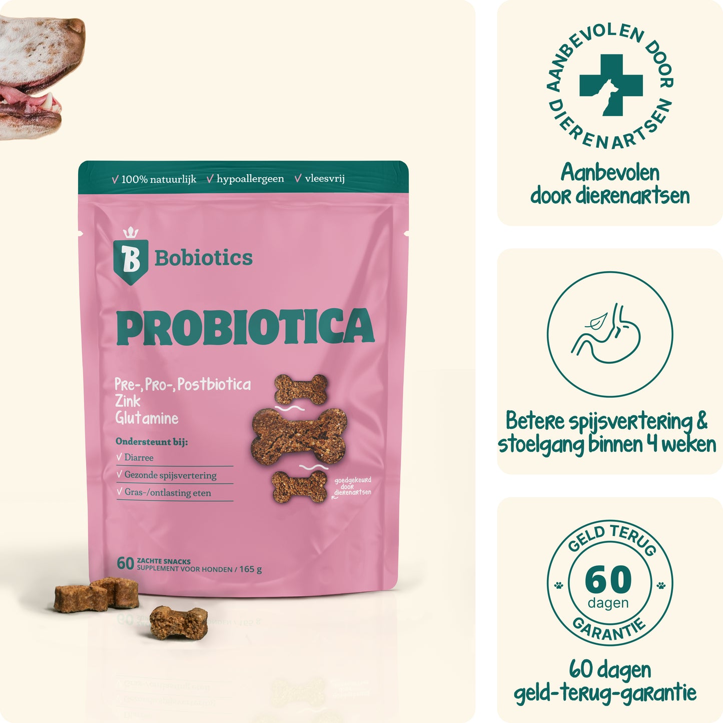 Probiotica Maag & Darm