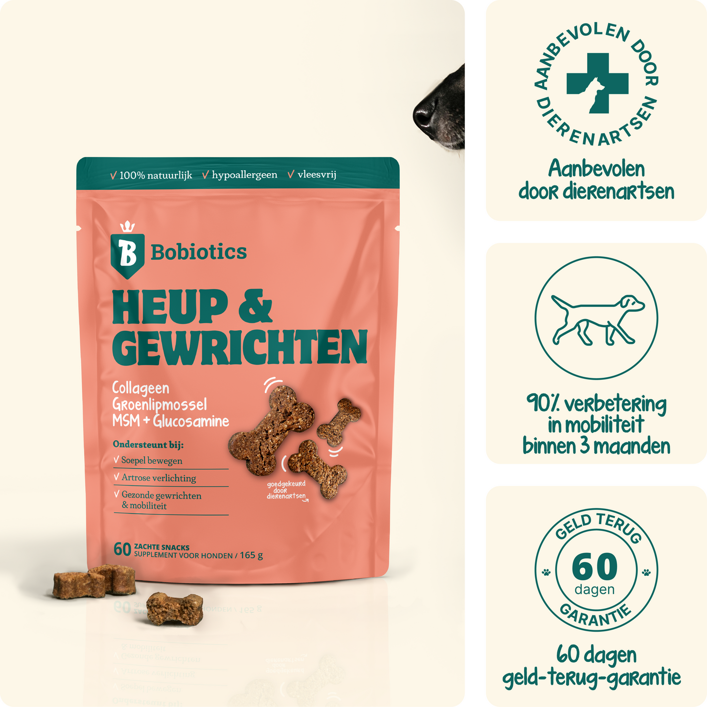 Heup & Gewrichten