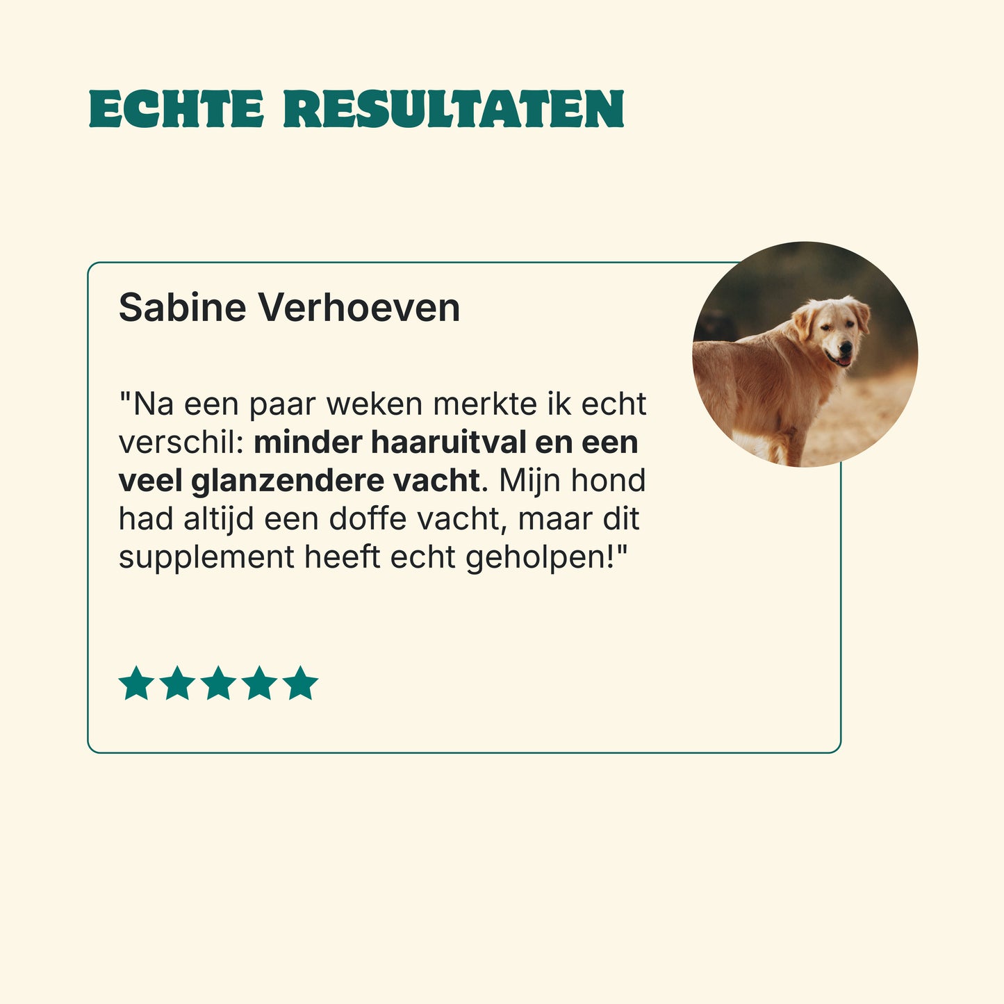 Huid & Vacht