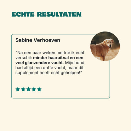 Huid & Vacht