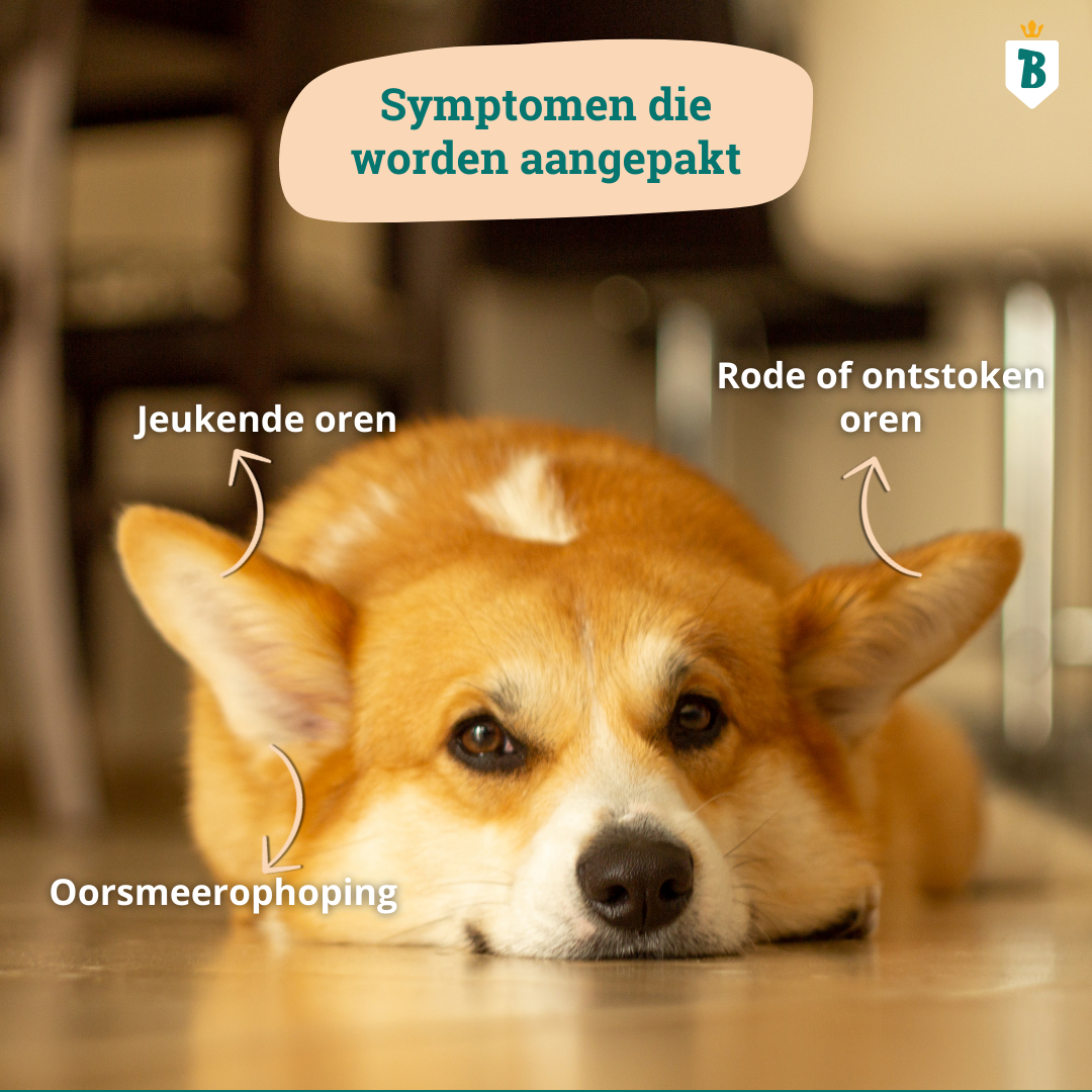 Oorreiniger