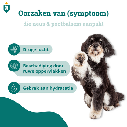 Neus & Pootbalsem