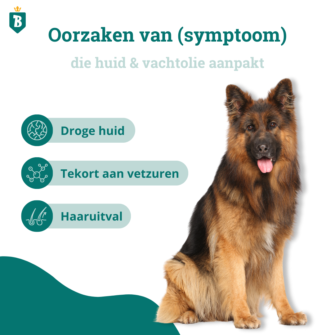 Huid & Vacht Olie