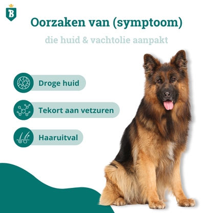 Huid & Vacht Olie