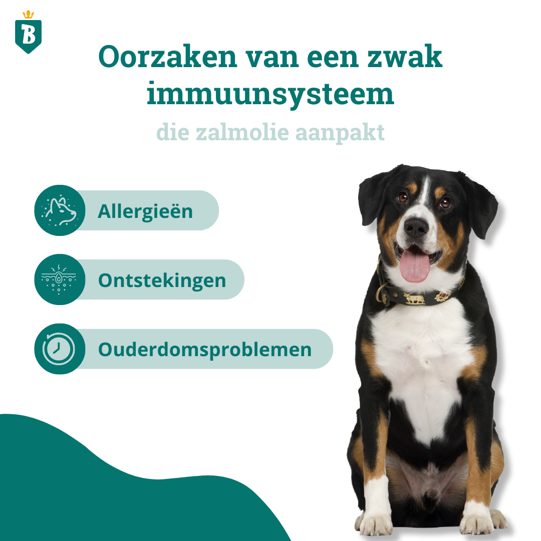 Schotse Zalmolie 100ML