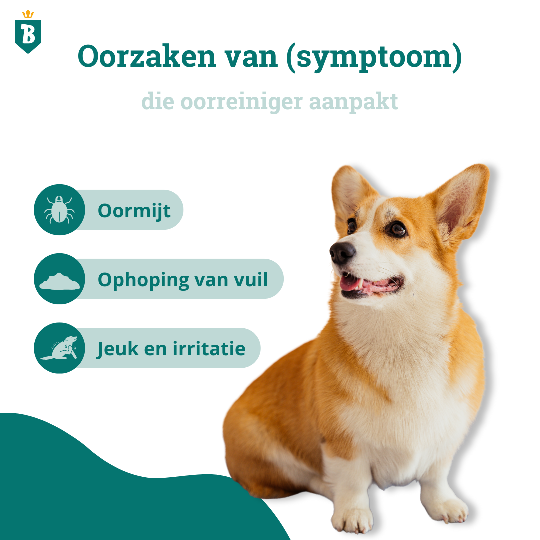 Oorreiniger