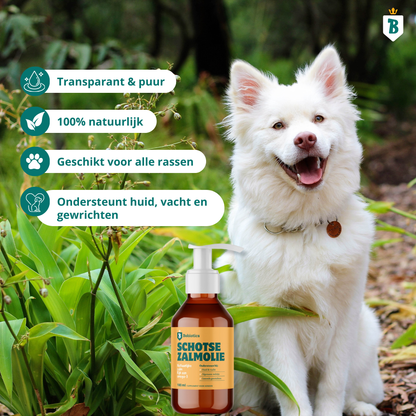 Schotse Zalmolie 250ML