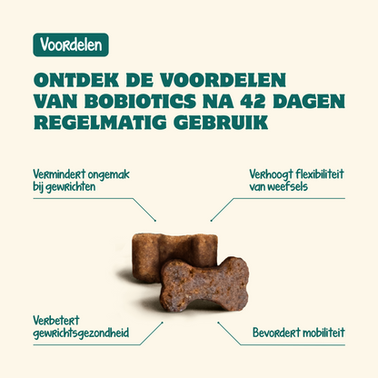 Heup & Gewrichten