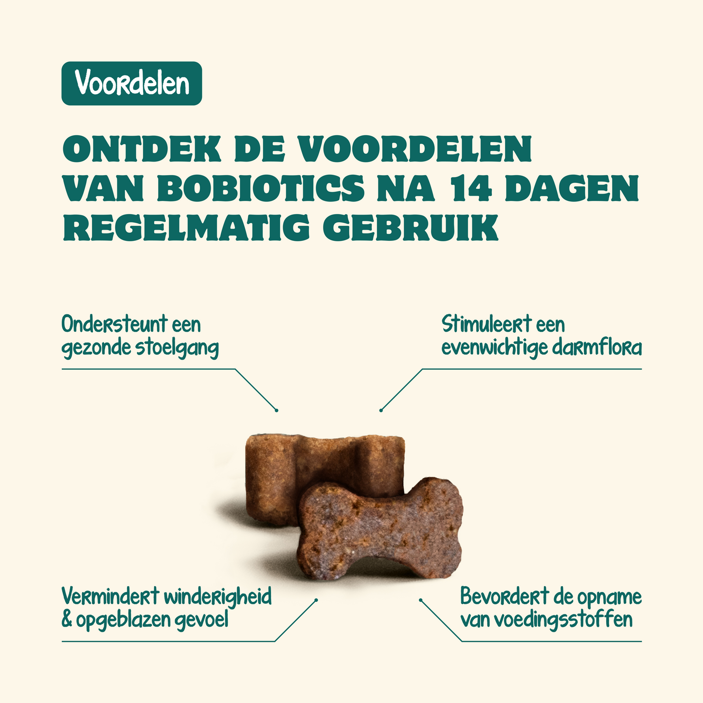 Probiotica Maag & Darm